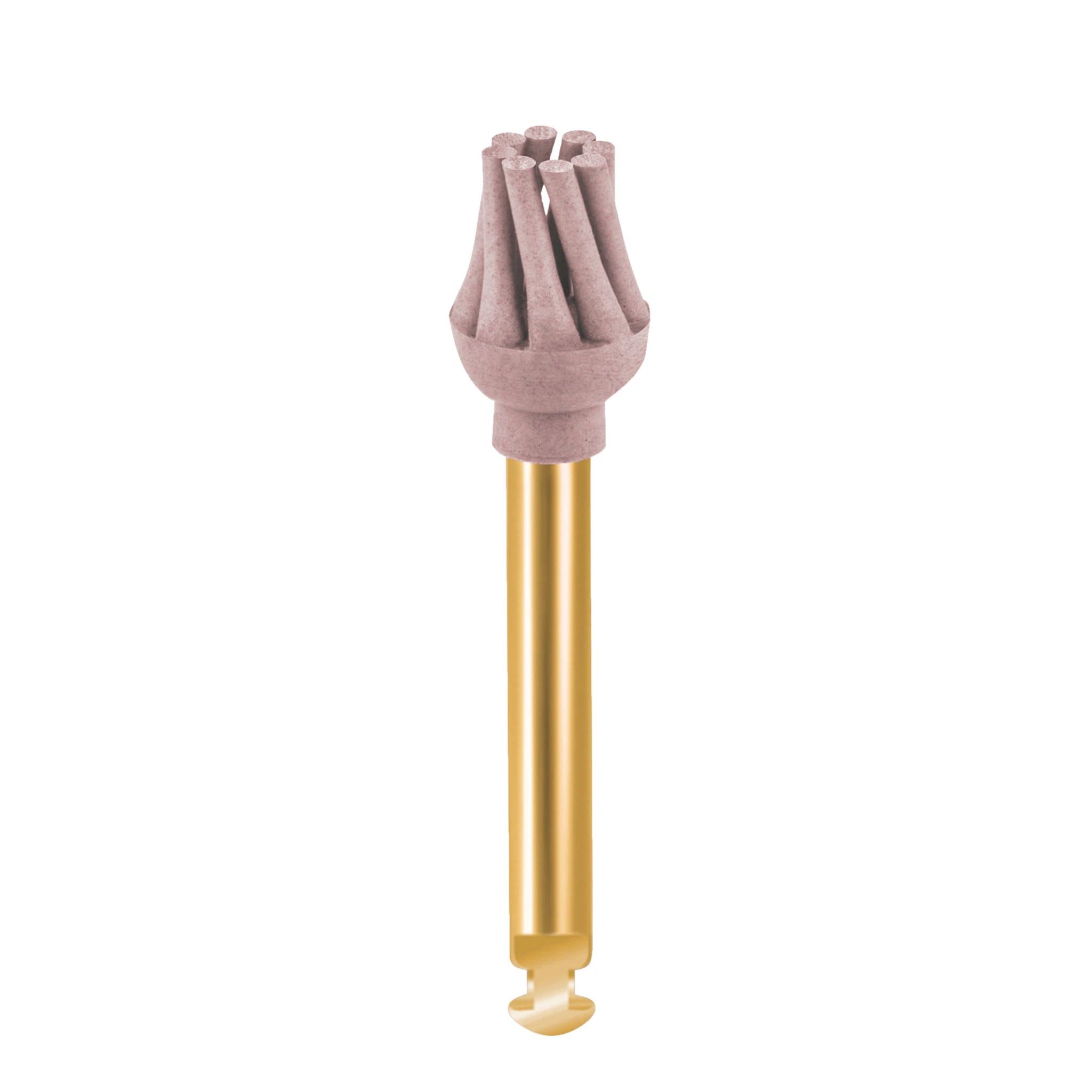 EVE DIACOMP® PLUS RA - DCP-OFm polisher for medium-grit polishing, optimized for occlusal fissures. Features a pink finish and a gold rotary shank.